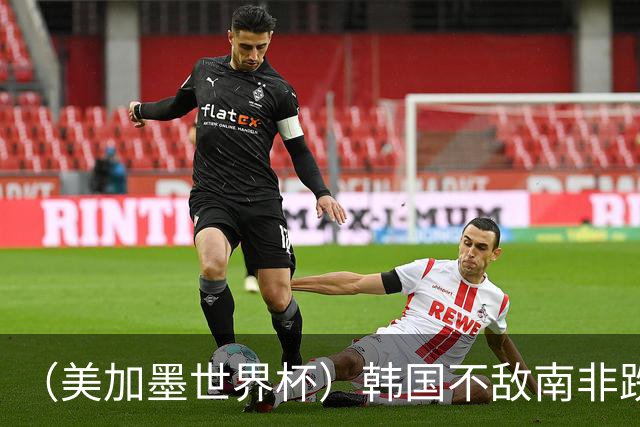（美加墨世界杯）韩国不敌南非跌至小组第三 出线前景待定